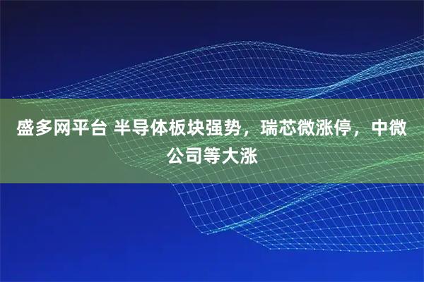 盛多网平台 半导体板块强势，瑞芯微涨停，中微公司等大涨
