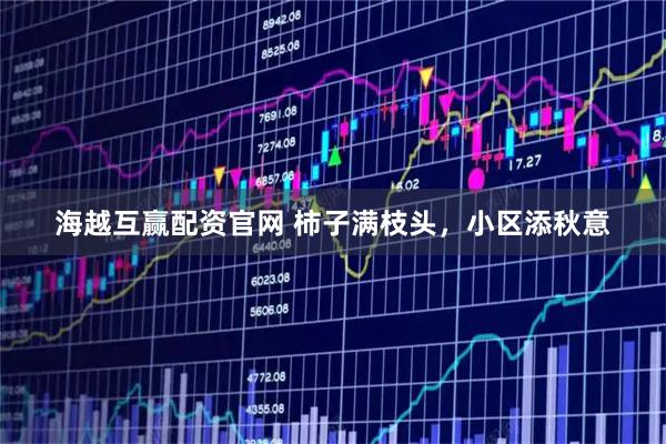 海越互赢配资官网 柿子满枝头，小区添秋意
