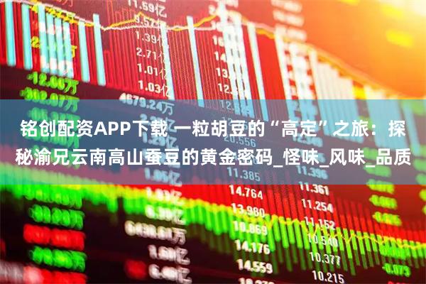 铭创配资APP下载 一粒胡豆的“高定”之旅：探秘渝兄云南高山蚕豆的黄金密码_怪味_风味_品质