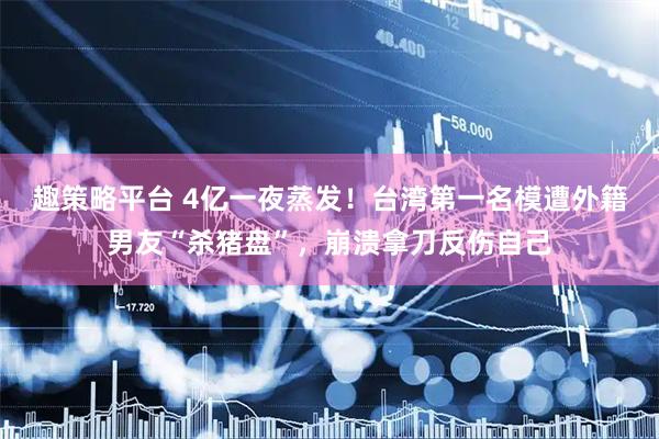 趣策略平台 4亿一夜蒸发！台湾第一名模遭外籍男友“杀猪盘”，崩溃拿刀反伤自己